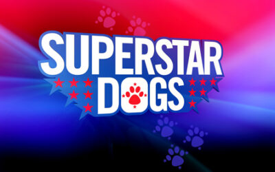 superstar-dogs_0