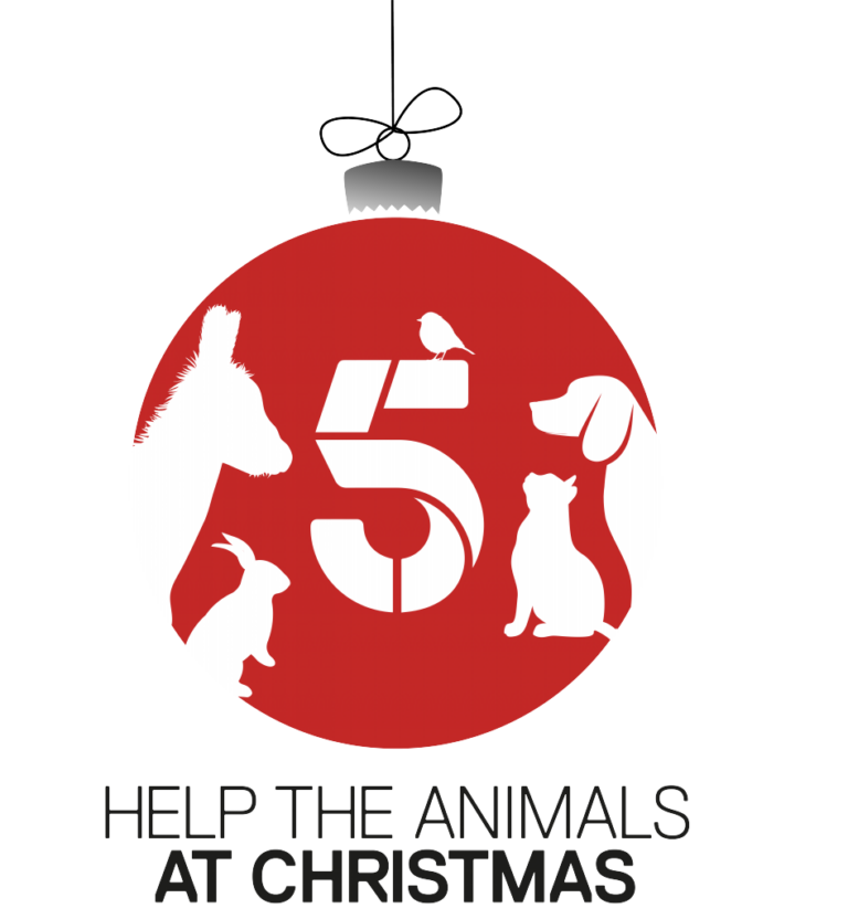 Help the Animals at Christmas