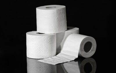 toilet-paper-g73a3e48361920