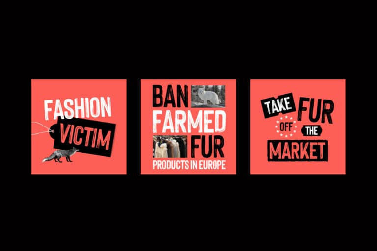 fur-free-europecasestudy-03