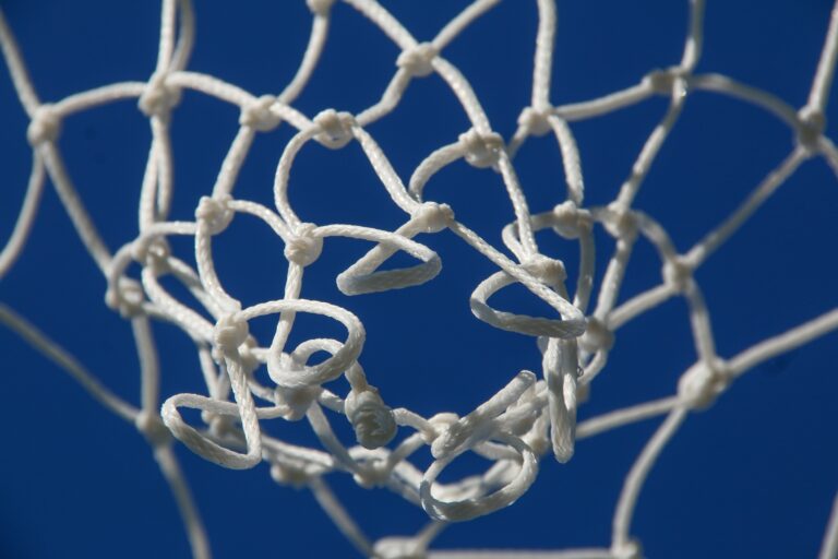 Netball net, Photo by Glen Carrie on Unsplash