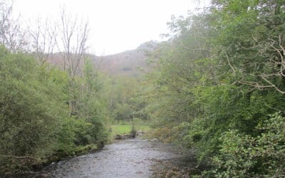 River Rothay Near Ambleside, M Taylor/Creative Commons